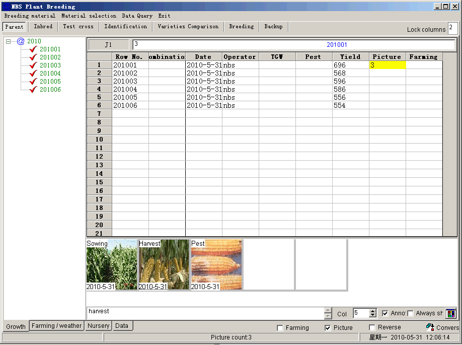 Fwsim crack key